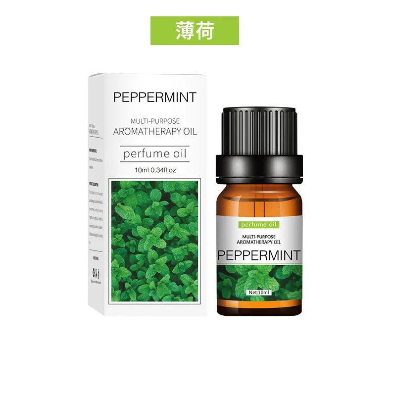 10ML Scented Candle Essential Oil Tea Tree Rose Lavender Frankincense Sandalwood Essential Fragrance Oil for Candle Making