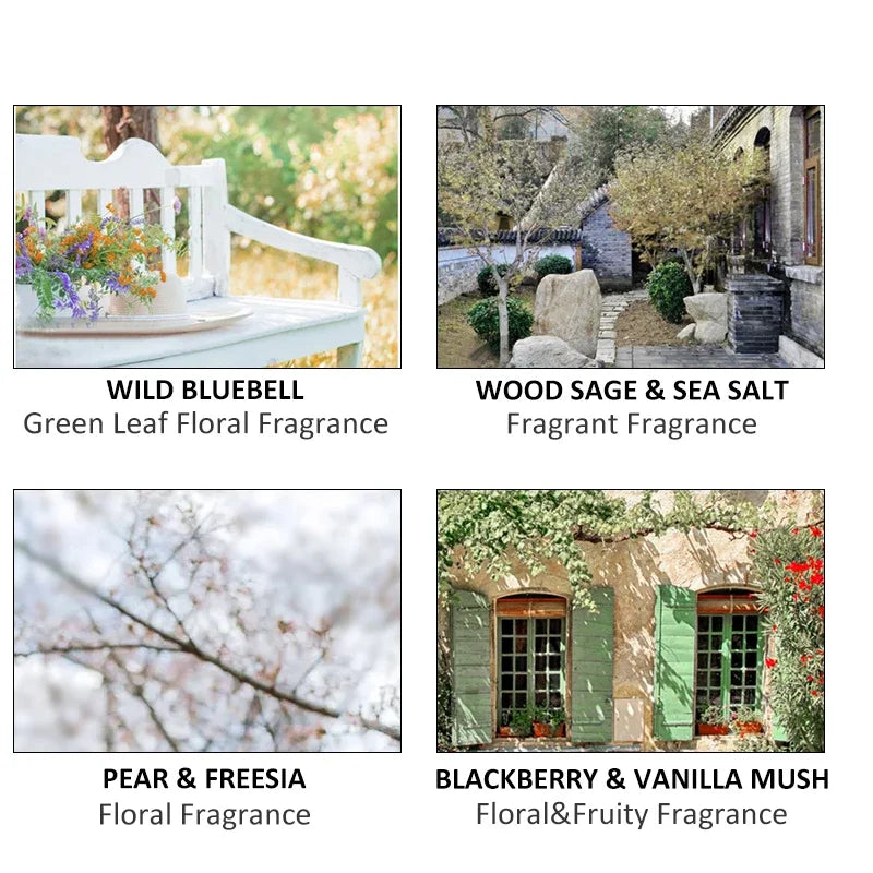 2024 Brand Scent Car Air Freshener Perfume Auto Flavoring Fresheners Aroma Diffuser Good Smell Fragrance Car Interior Decoration
