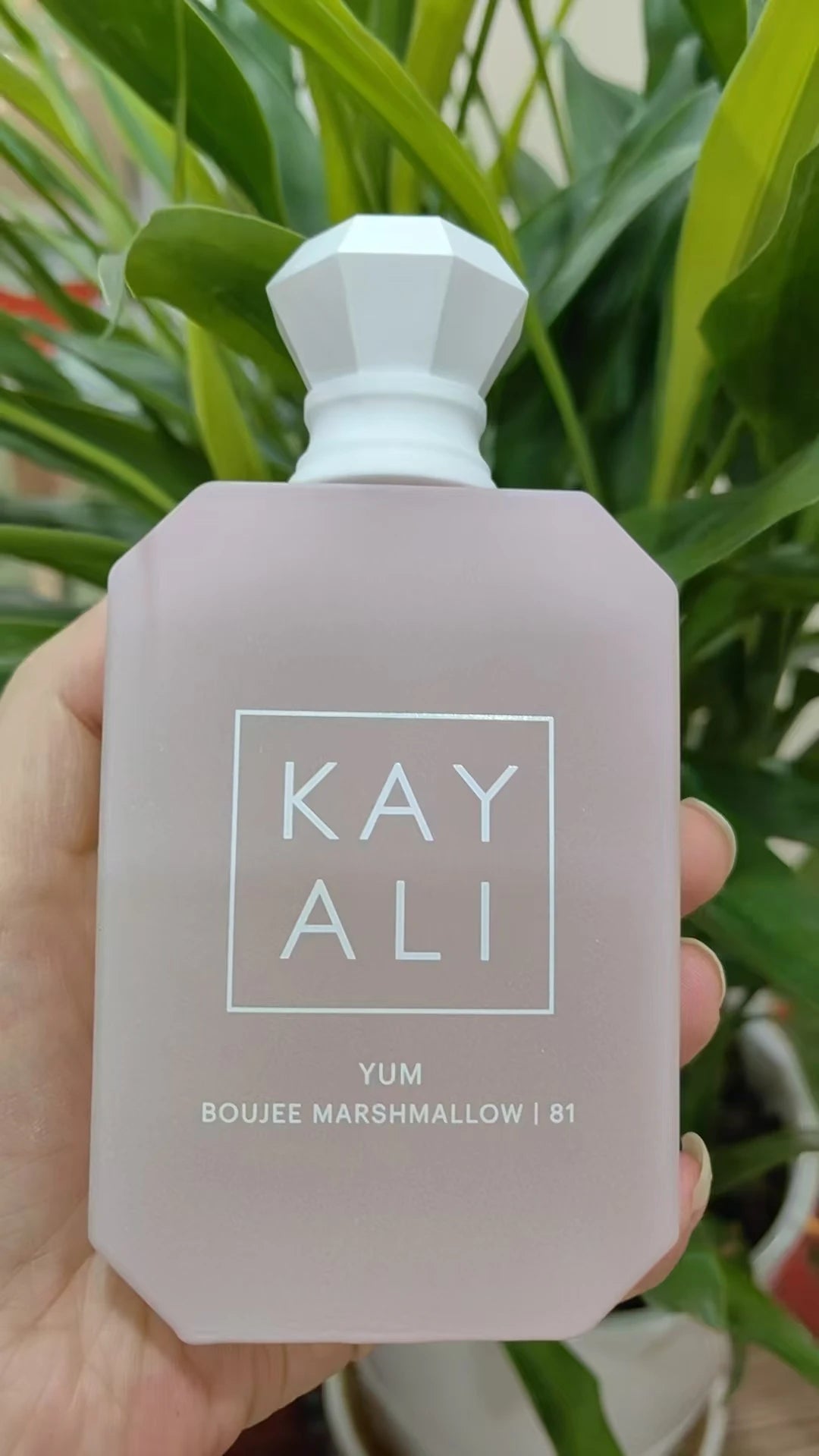Elegant Women’s Perfume 100ml Alluring Fruity Floral Scent with Warm Woody Base for A Long-Lasting Romantic Impression